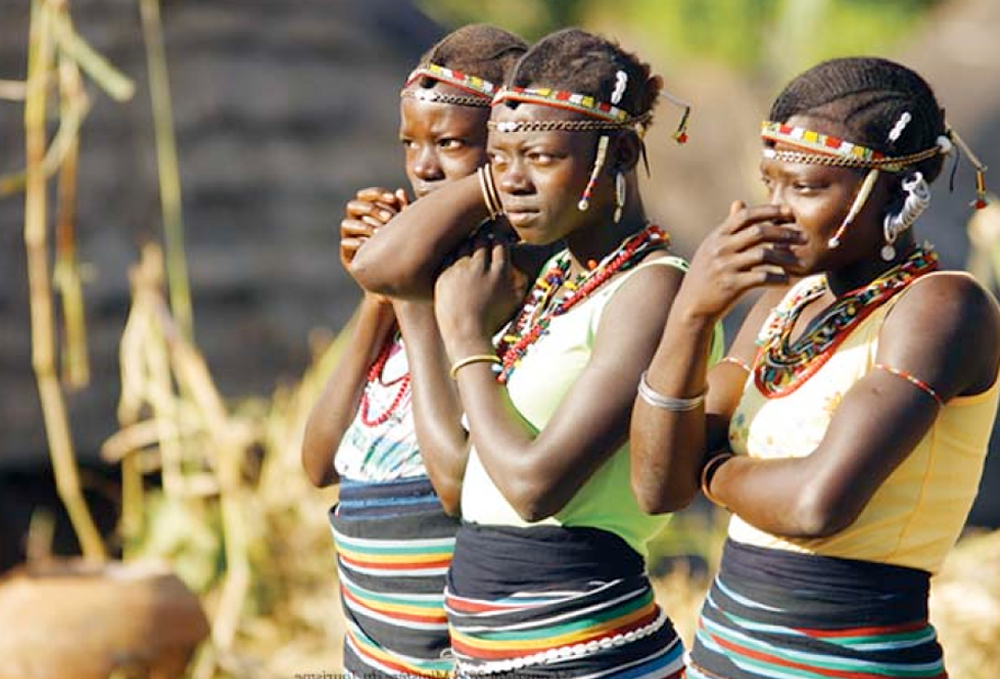 Licence professionnelle en tourisme