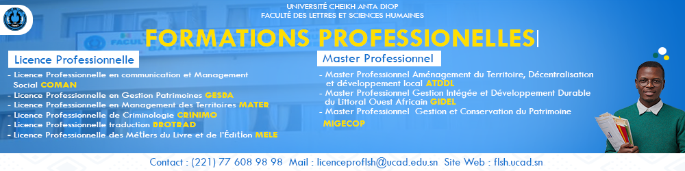 formation pro 1000 x 250.png